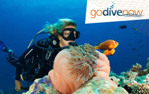 Atlantic Edge Scuba — photo 2
