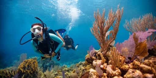 International Scuba