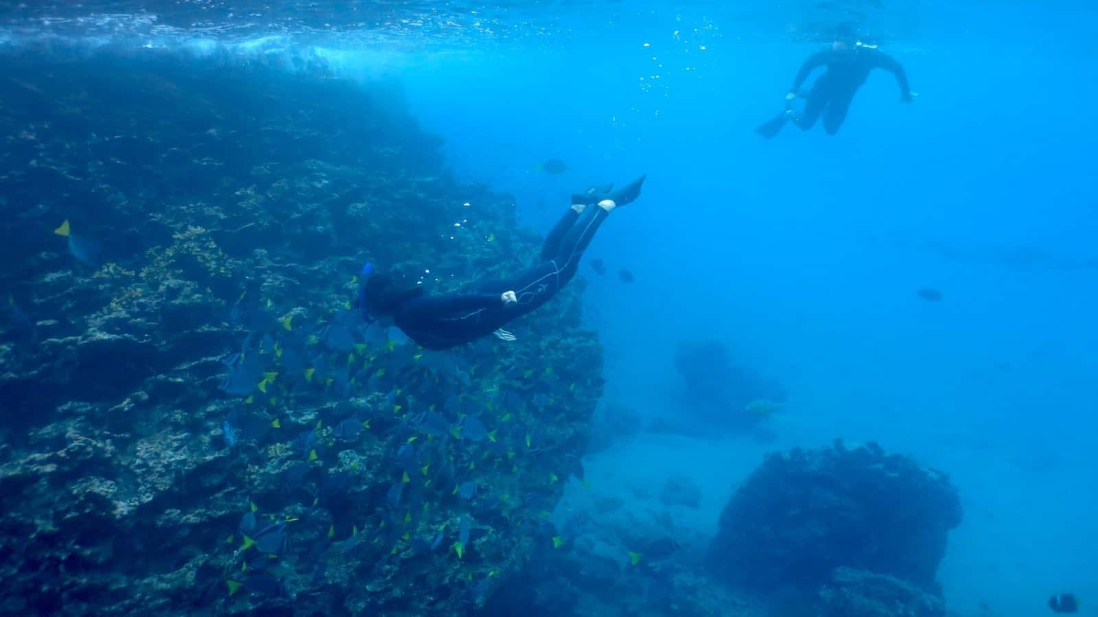 Eagle Ray Tours — photo 3