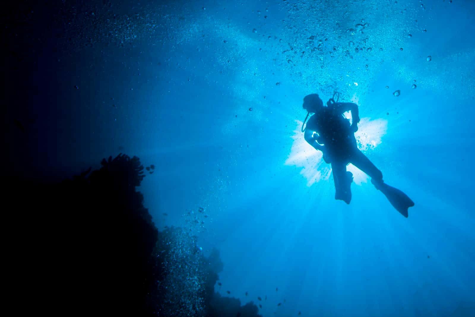 Club de Buceo Islas Hormigas
