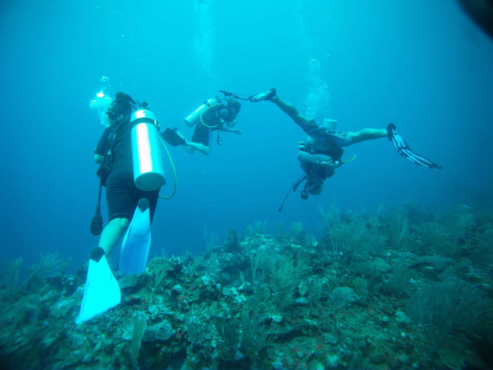 Chuck & Robbies Diveshop — photo 1