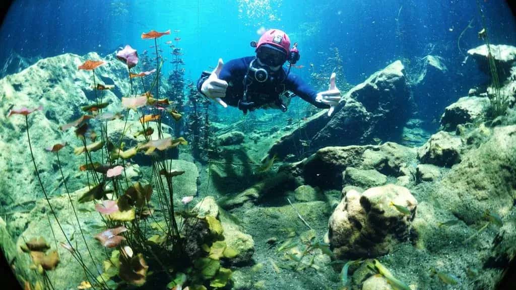 Jaguar Divers — photo 3