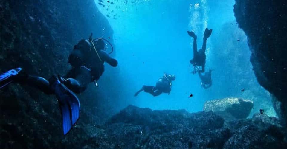 JUSTDIVE
