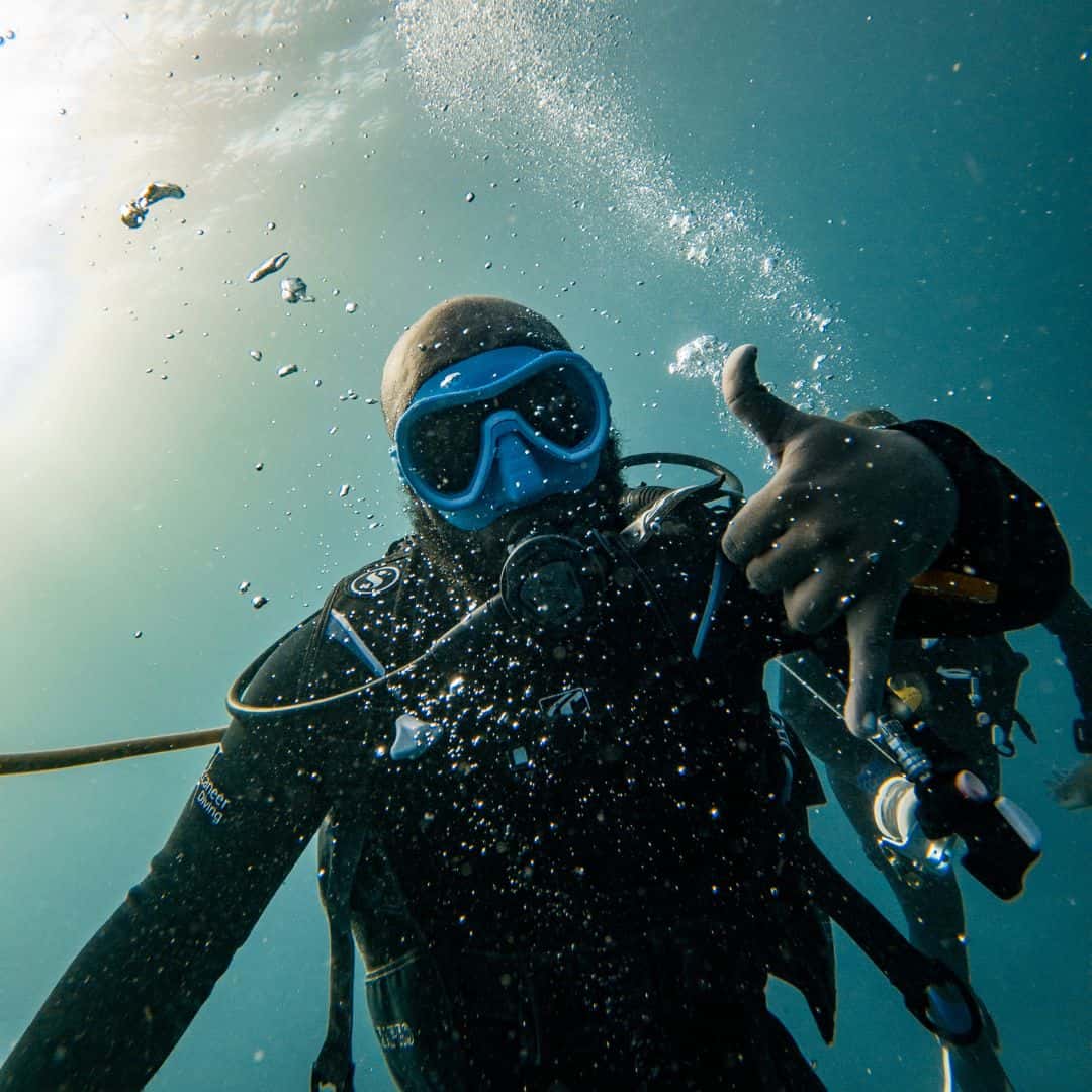 Quiescence | Key Largo Diving — photo 1