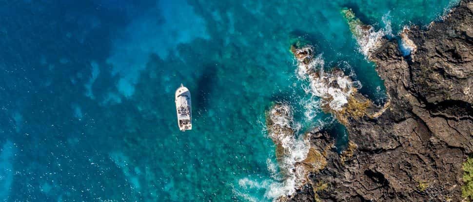 Kona Honu Divers — photo 2