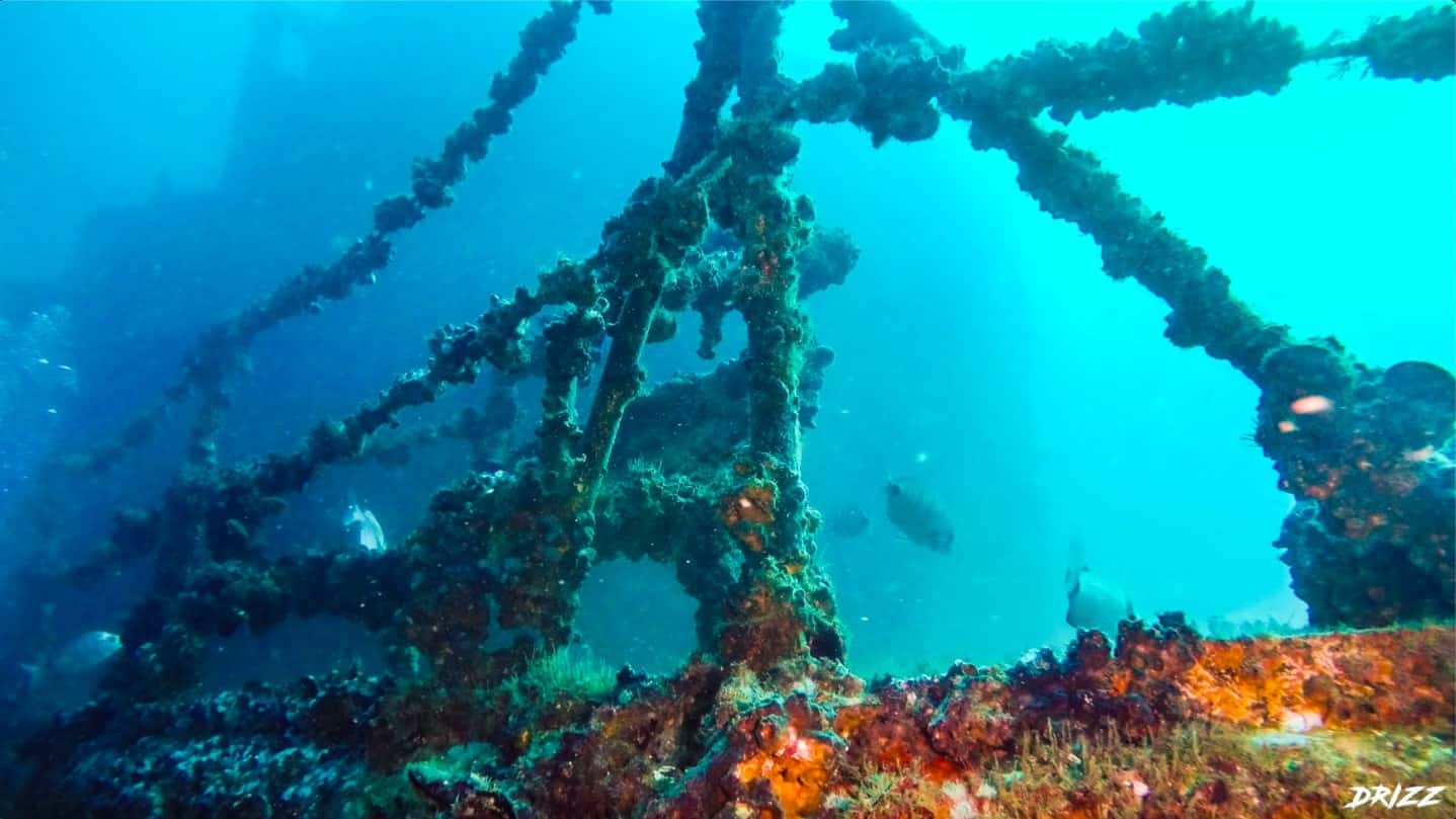 Lagos Divers — photo 3