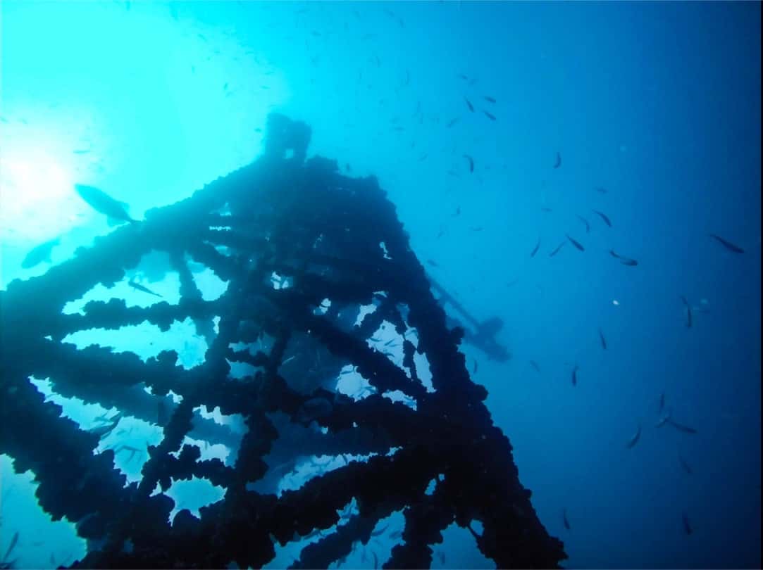 Lagos Divers — photo 2