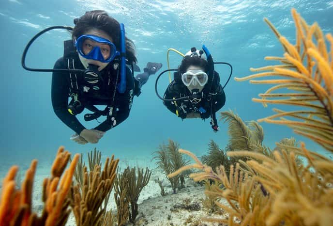 Lanzarote Non Stop Divers
