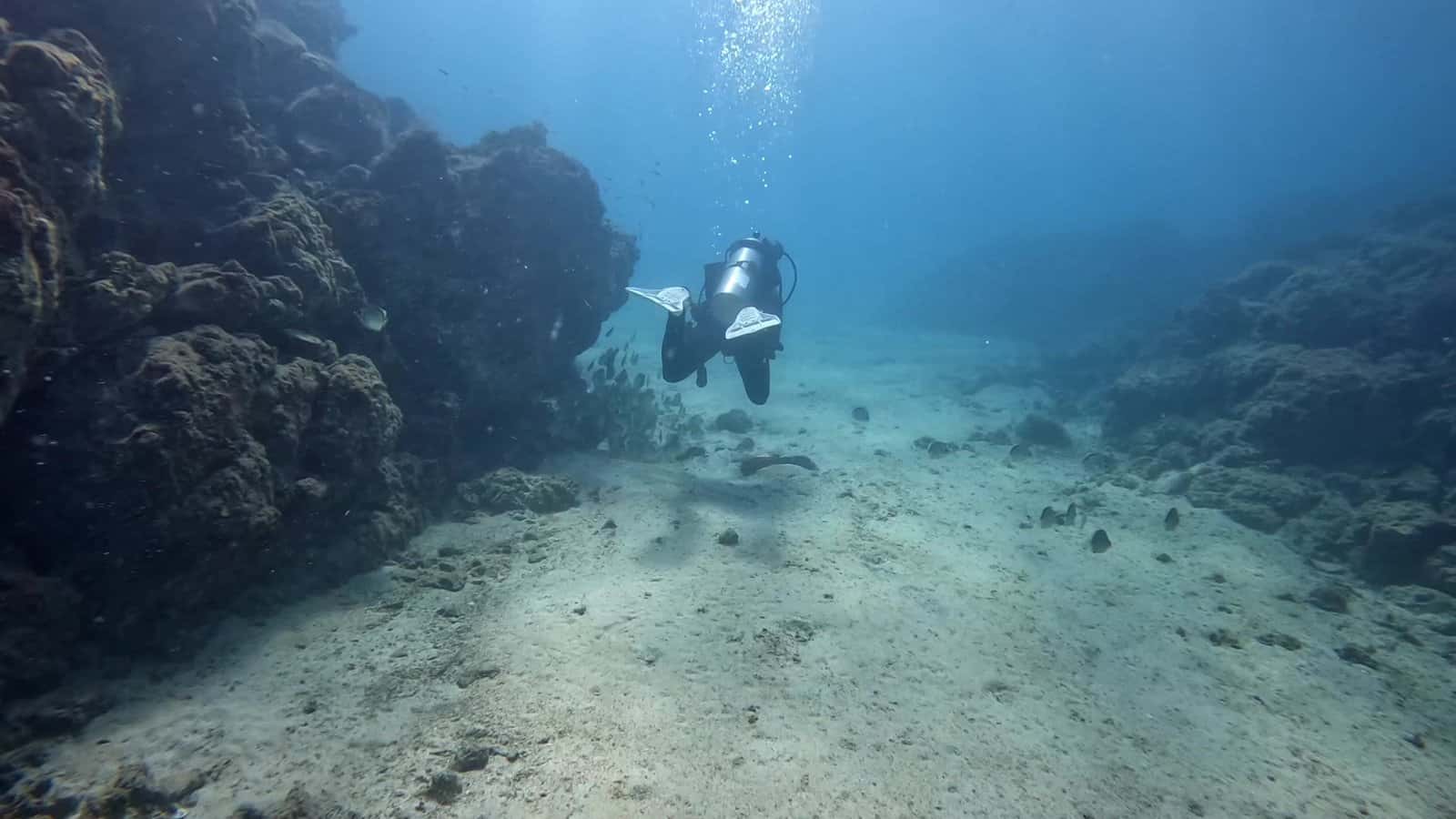 Life & Dive