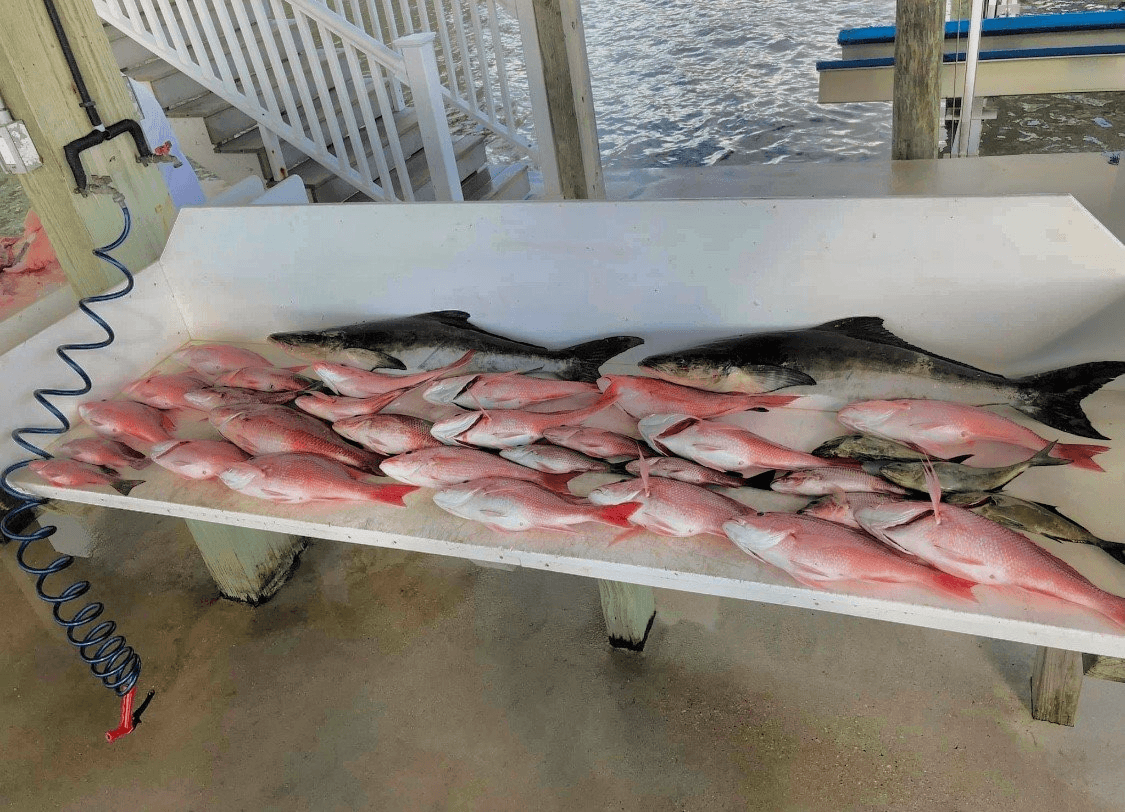 Southern Angler Fishing Charters — photo 2