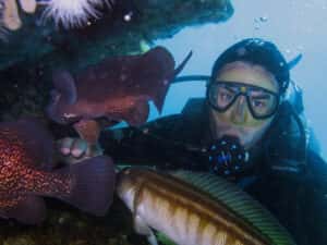 Lobo Larsen Buceo
