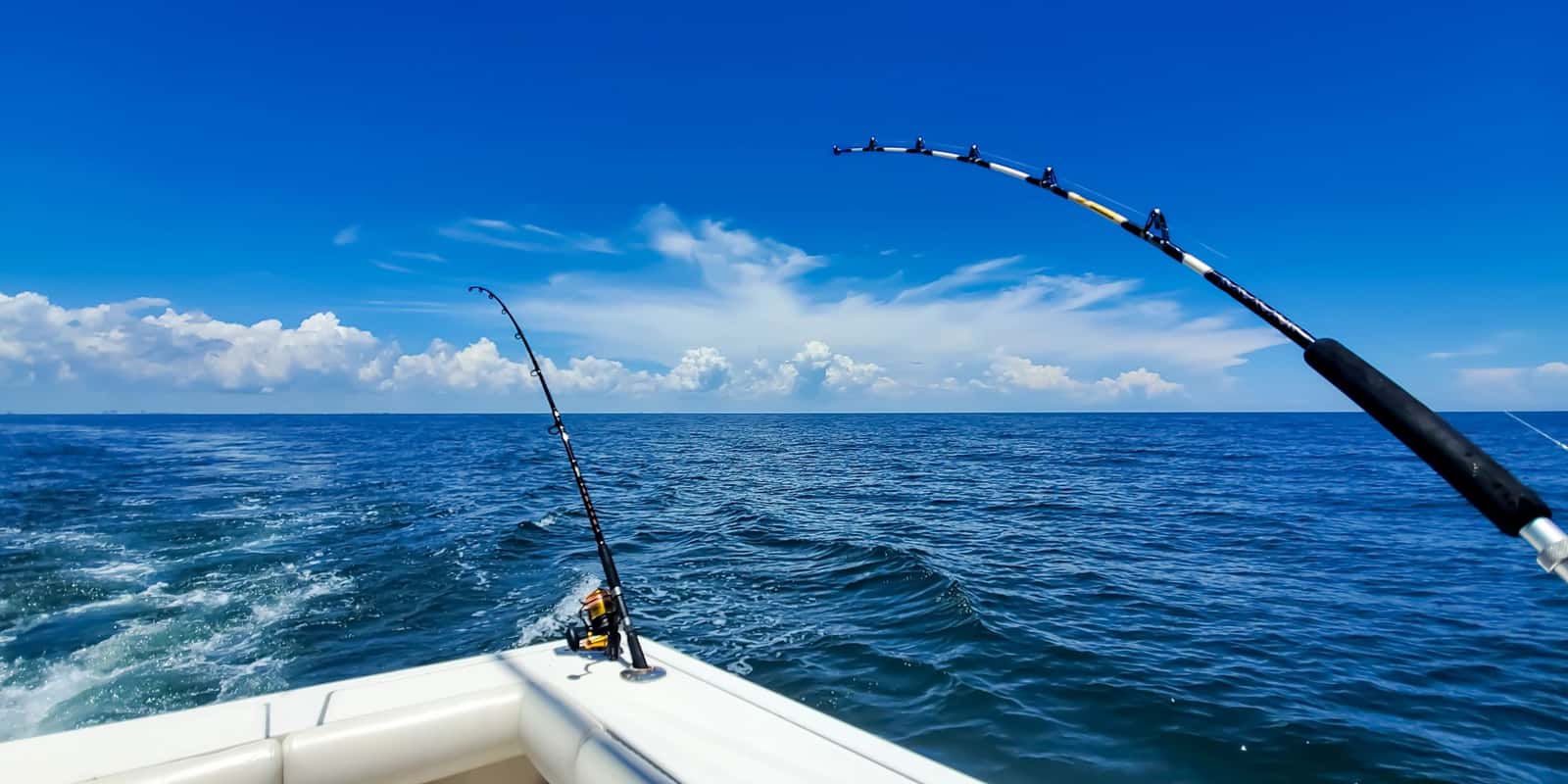 Lulu Boat Charter — photo 3