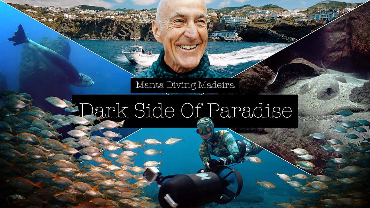 Manta Diving Madeira — photo 2