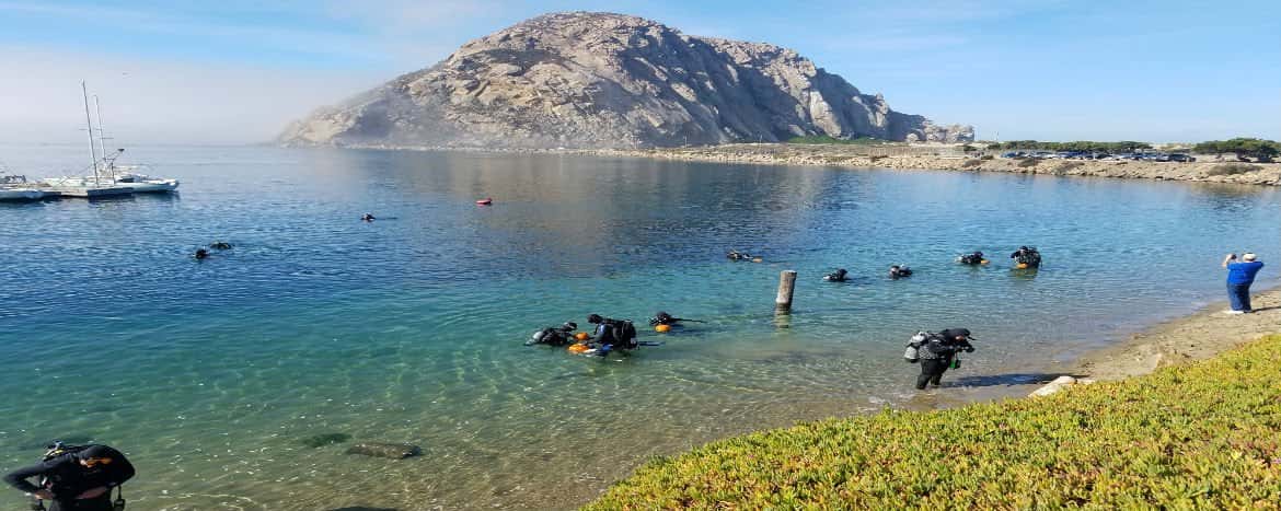 SLO Ocean Currents — photo 3
