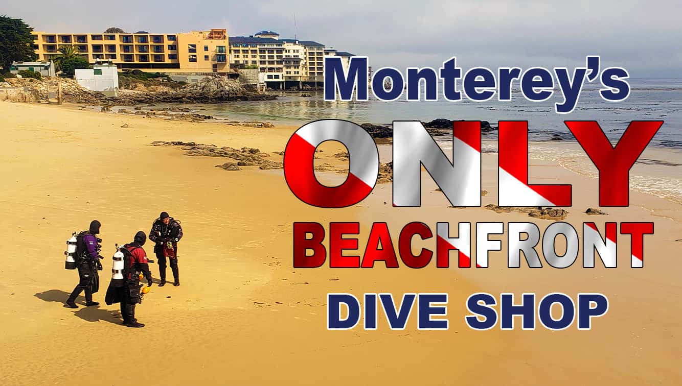 Monterey Bay Scuba
