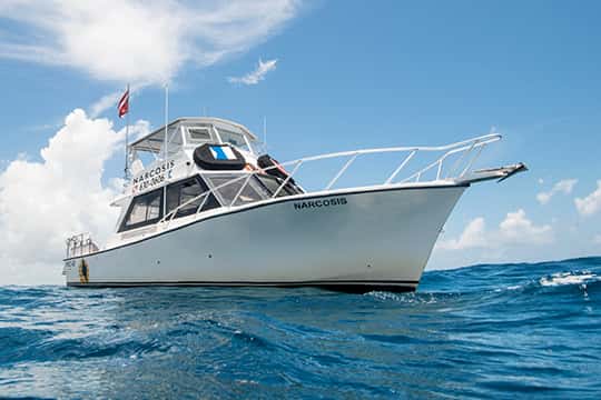 Narcosis Dive Company — photo 2
