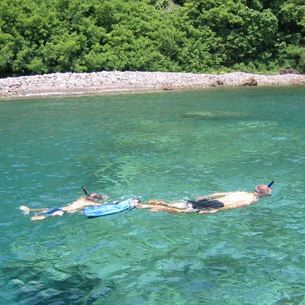Nature Island Dive — photo 3