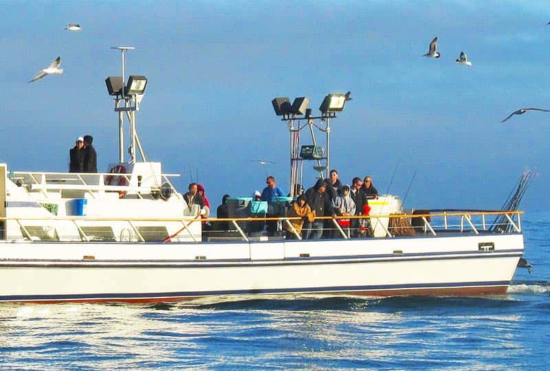 Newport Landing Sportfishing — photo 1