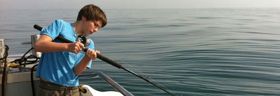 Newquay Sea Safaris and Fishing — photo 2