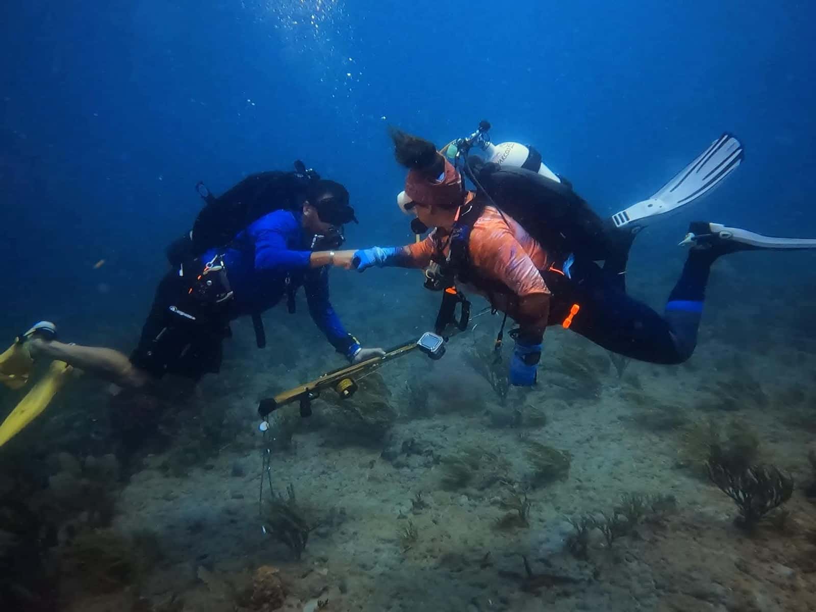 Ocean's Eight Dive Co. — photo 2
