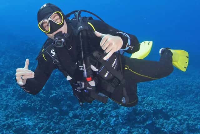 Ocean Safari
