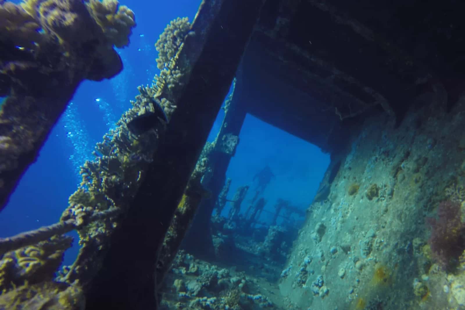 Odisseia Azul — photo 2