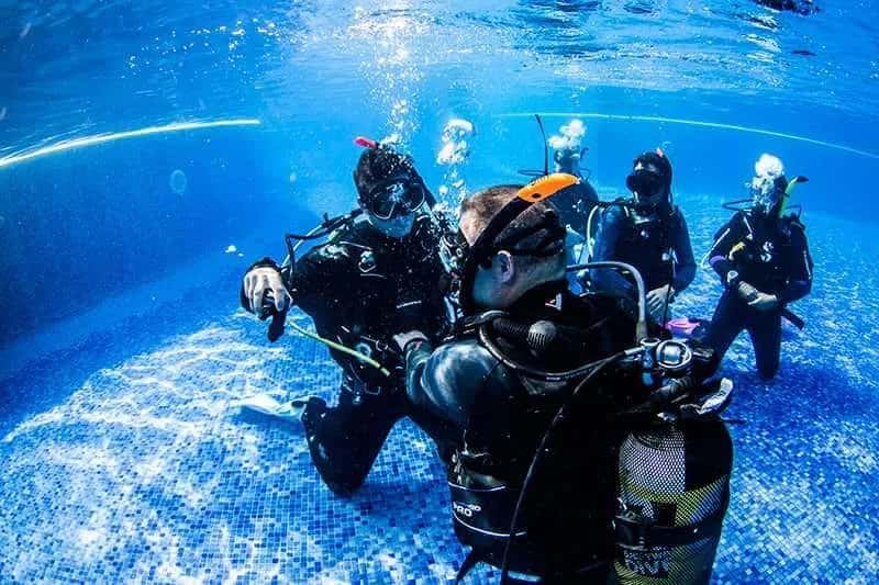 One Two Dive — photo 2