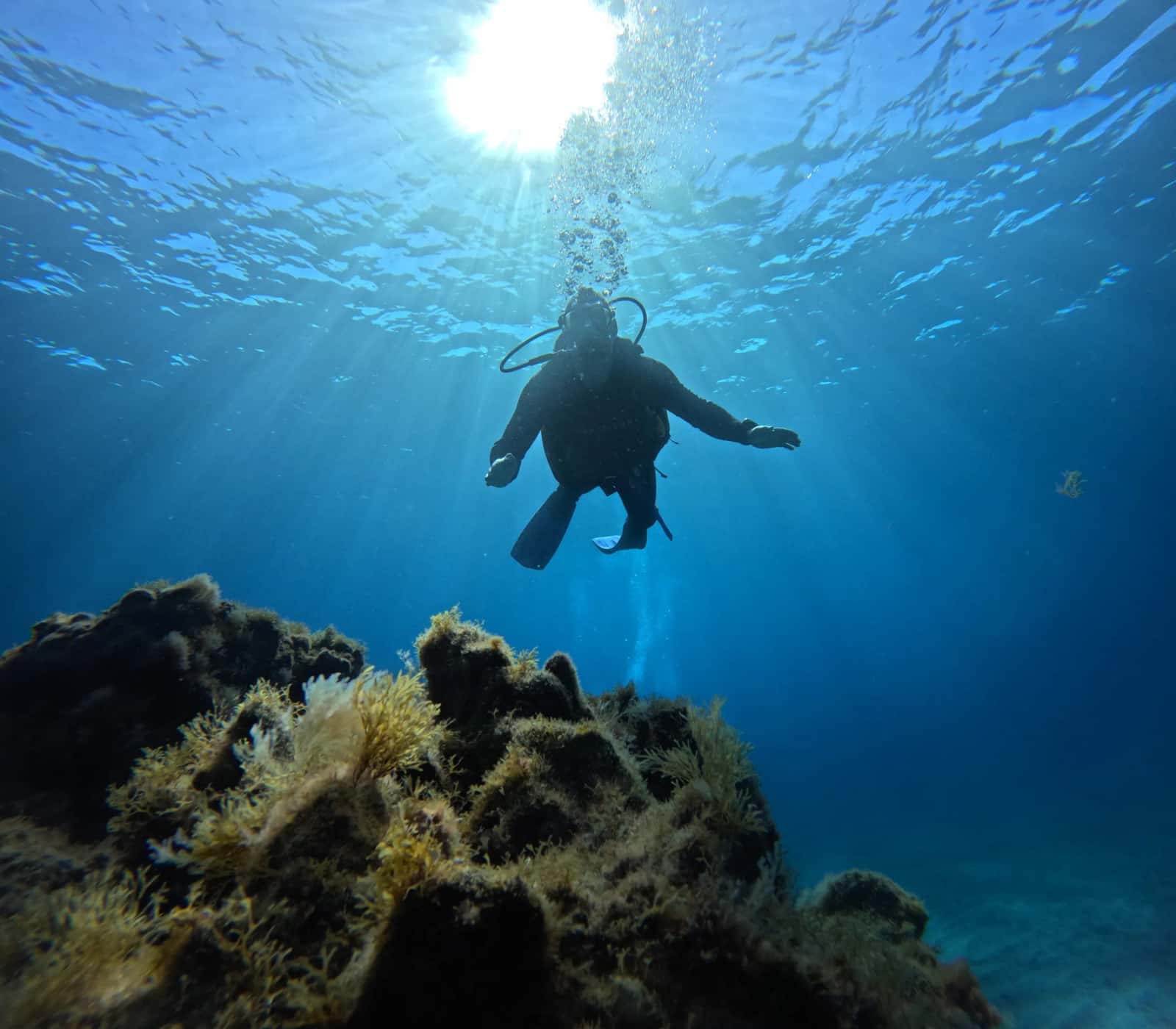 One Two Dive