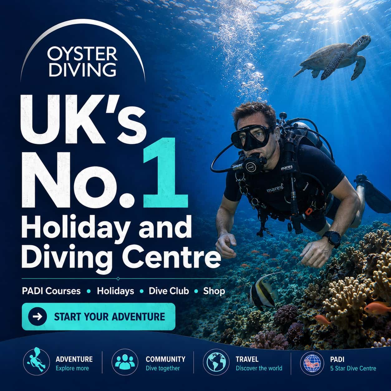 Oyster Diving