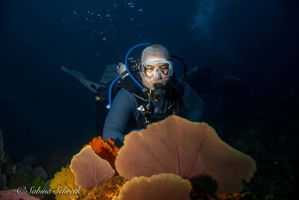 Panama Dive Center — photo 2