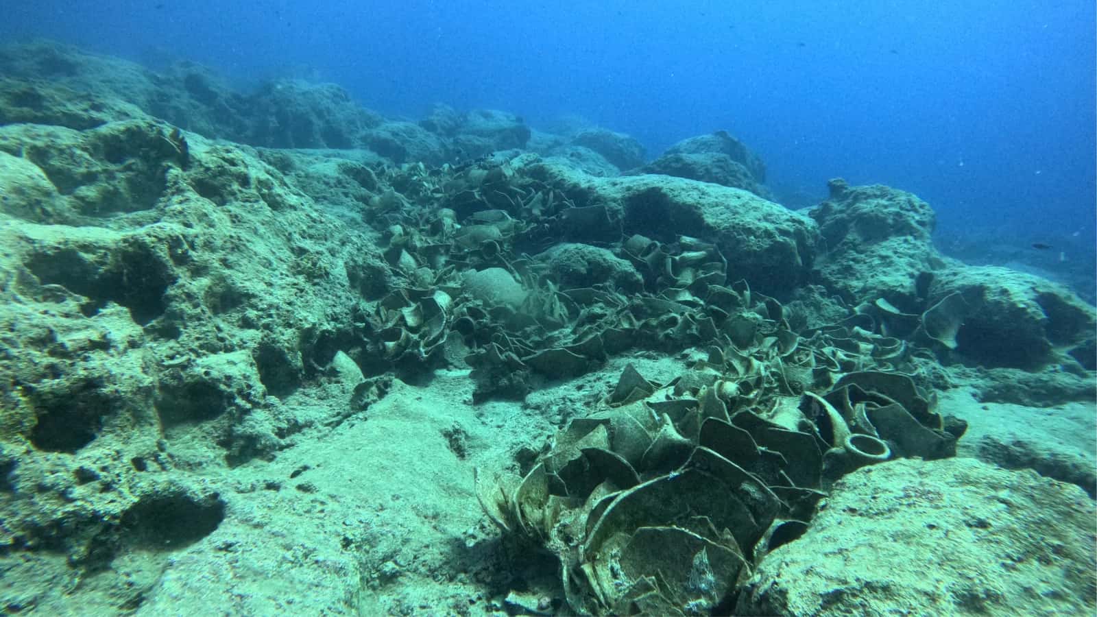 Paradise Diving Center — photo 4