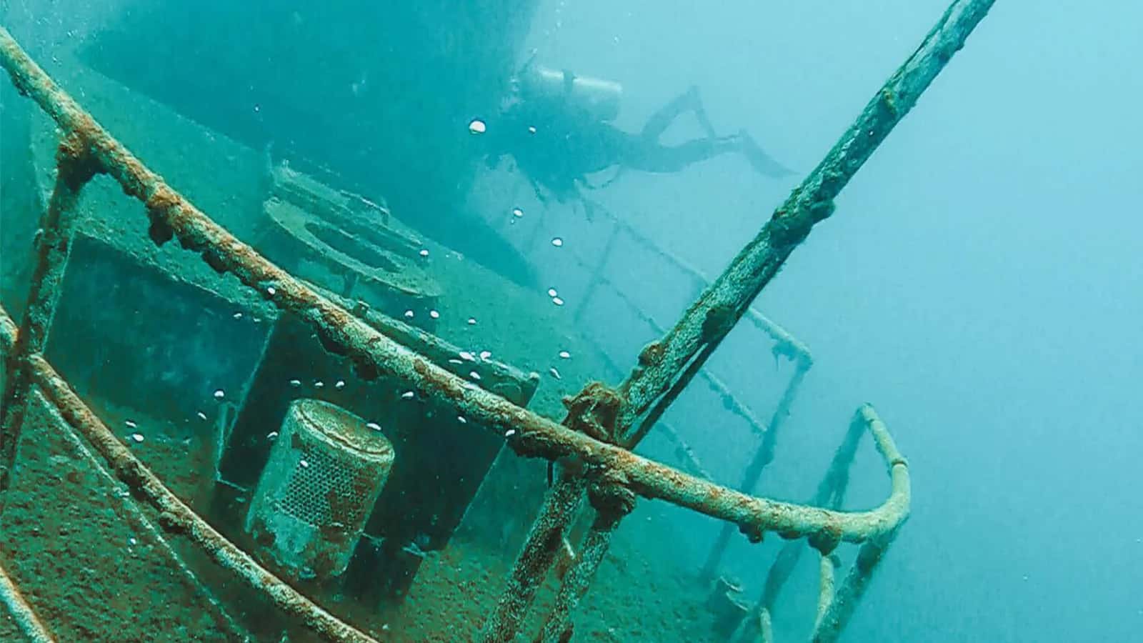 Paradise Diving Center — photo 3
