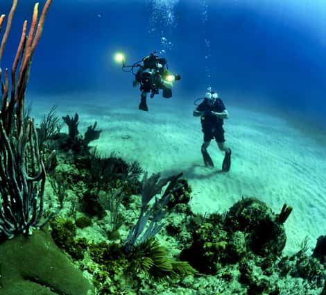 Petro Divers — photo 3