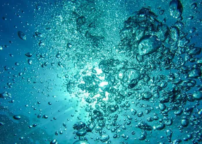 Pianottoli Diving — photo 4