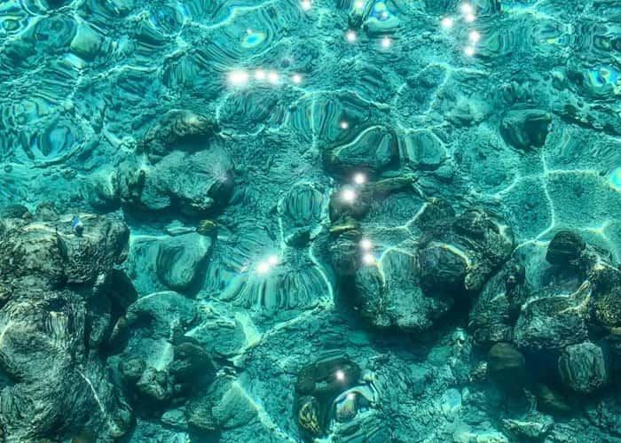 Pianottoli Diving — photo 2