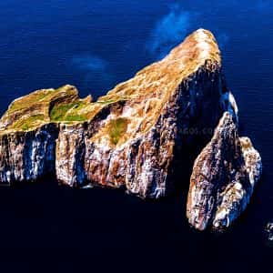 Planet Ocean Galapagos — photo 1