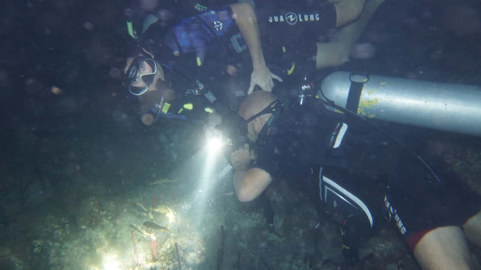 Private Dive Service — photo 4