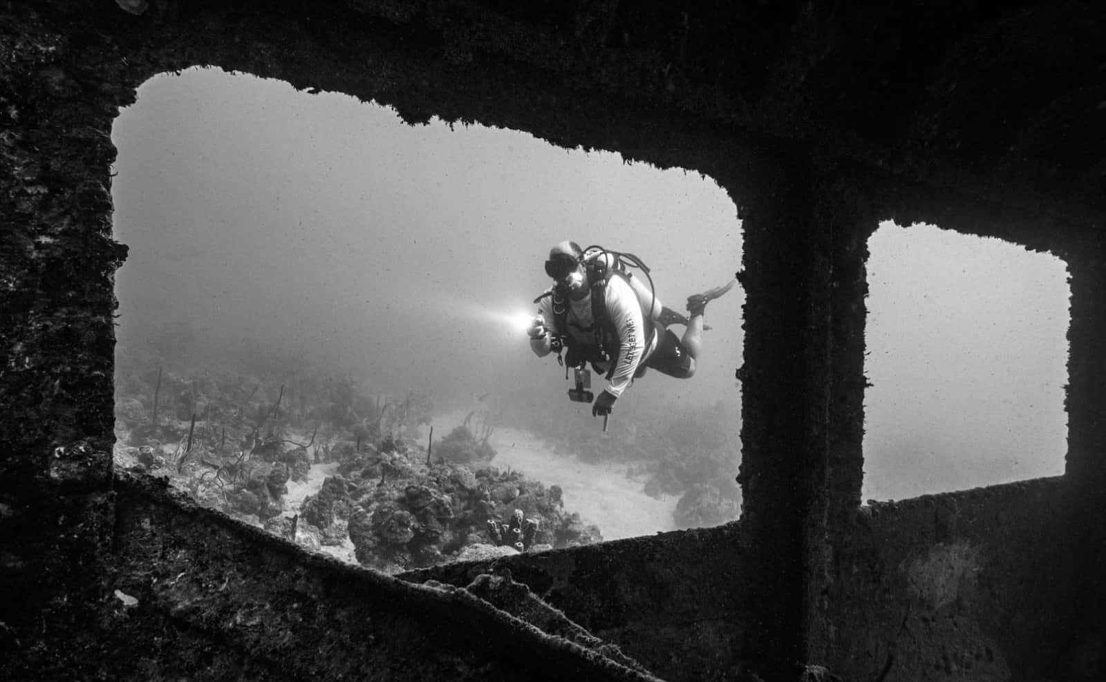 Private Dive Service — photo 3