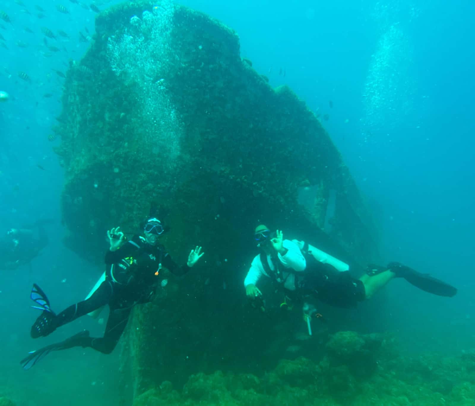 Private Dive Service — photo 5