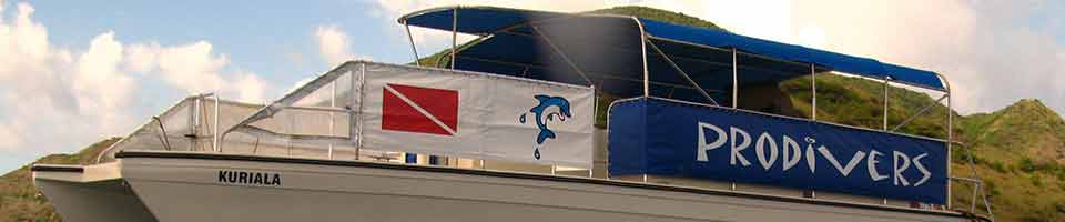 Pro Divers St Kitts — photo 3
