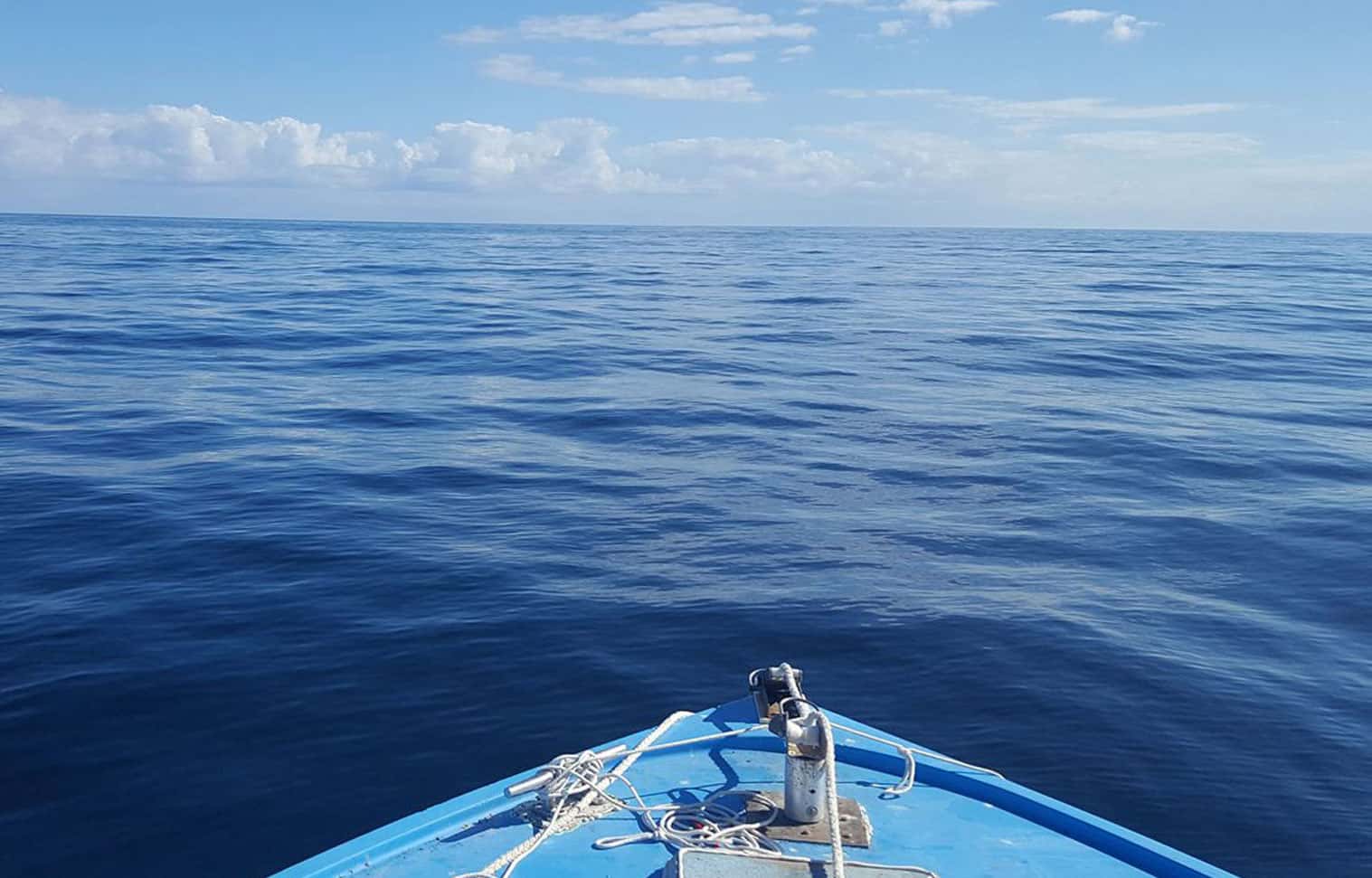 Reel Em' N Deep Sea Fishing Charters — photo 2