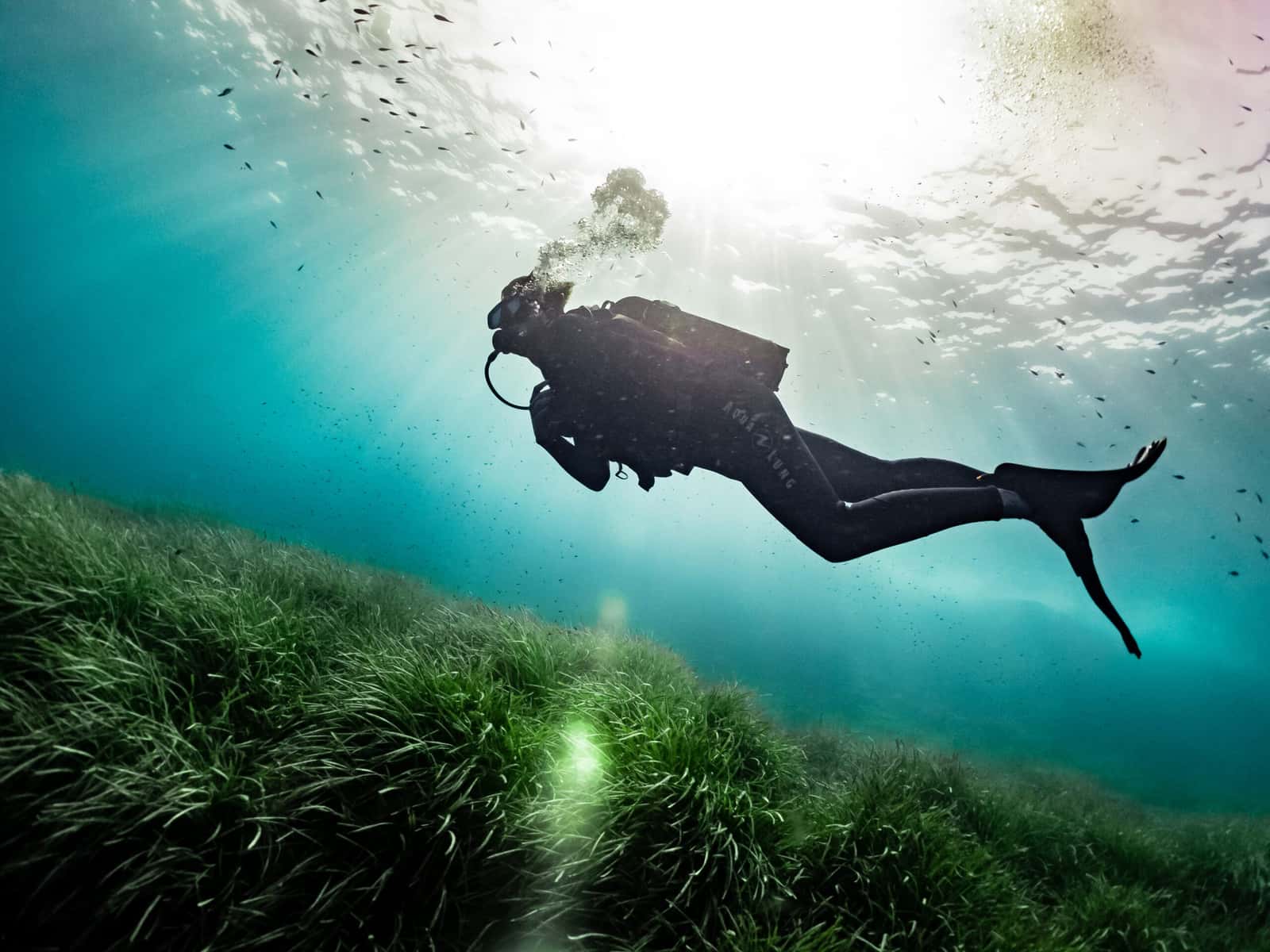 Ritual Dive Centre