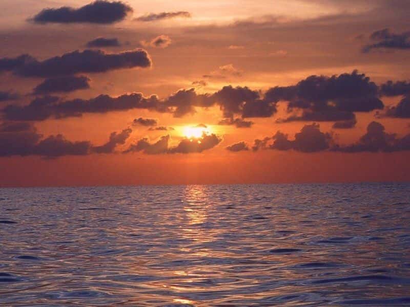 Riviera Yacht Charters