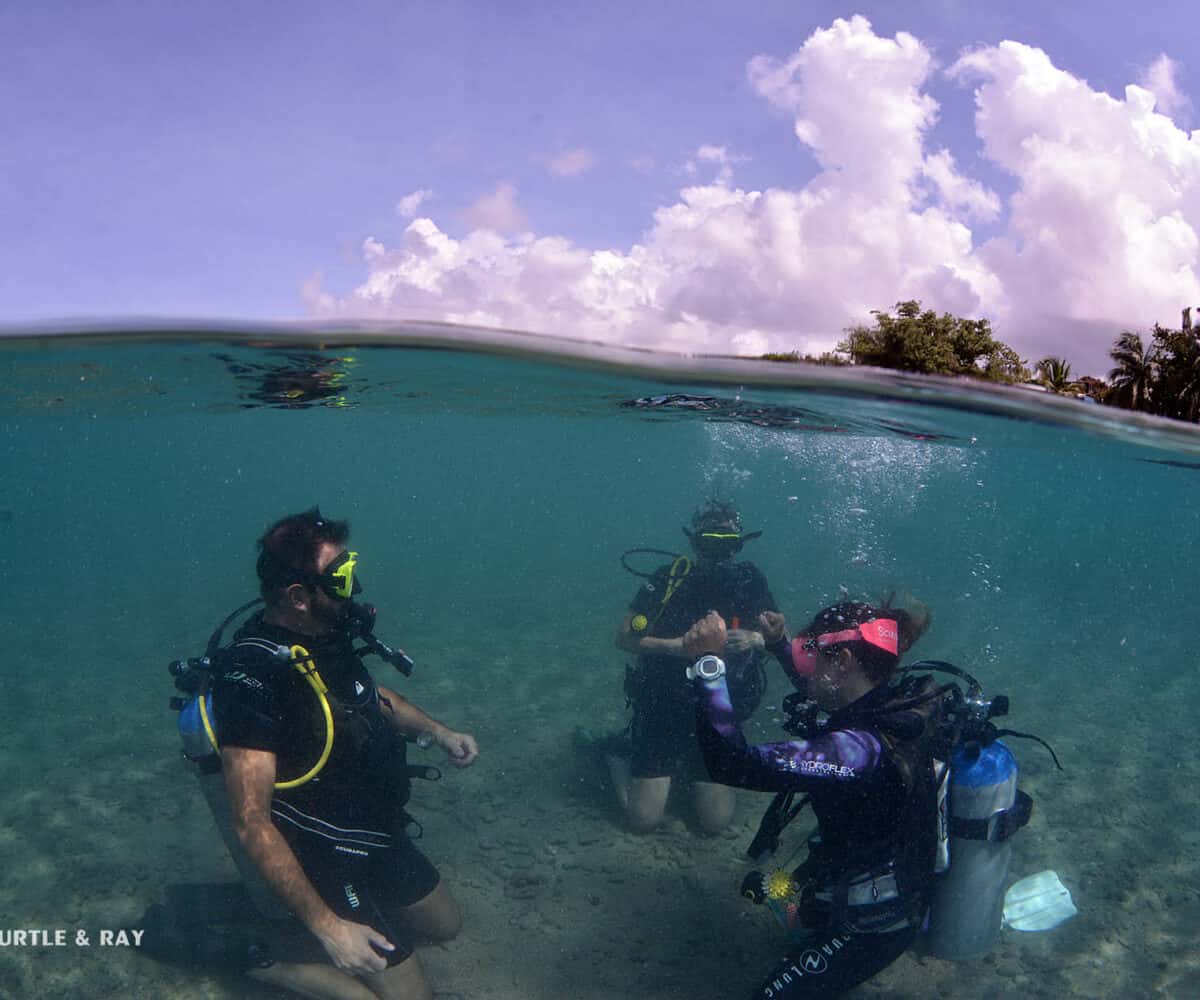 Scubaçao — photo 3