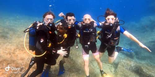 Scuba Dive Malta — photo 3
