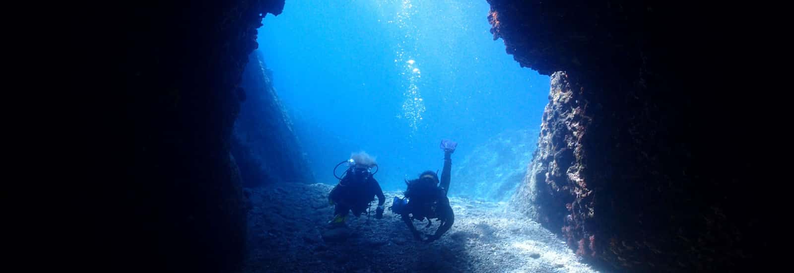 Venus Diving Centar