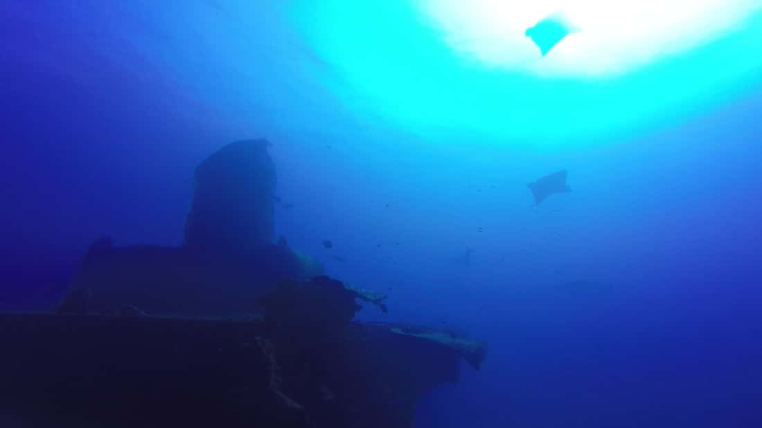 Scuba Diving Isla Mujeres Arena — photo 5