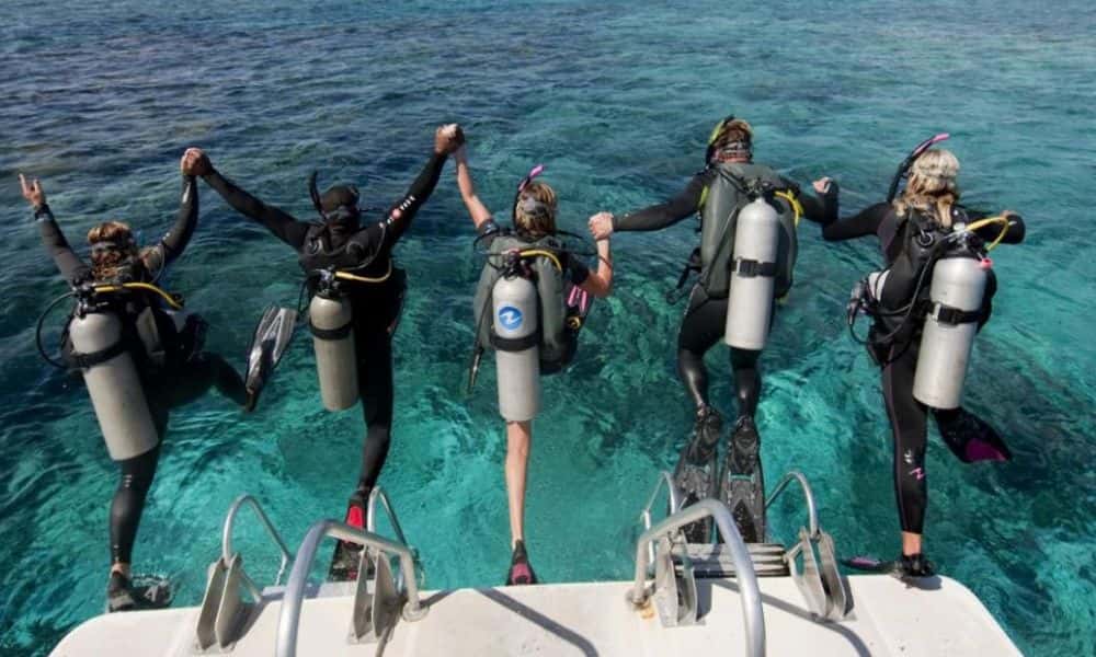 OLA Diving