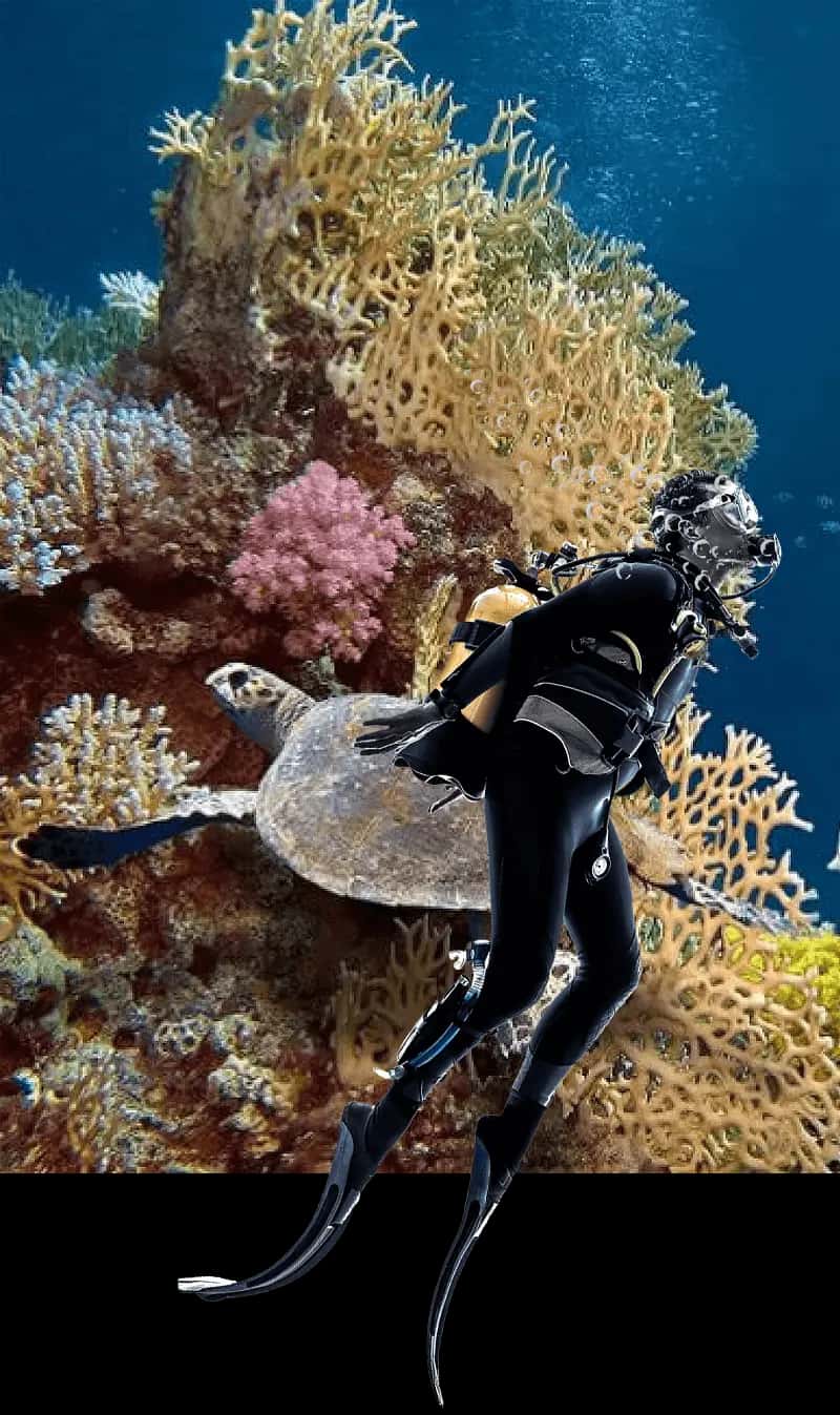 SCUBA ELX