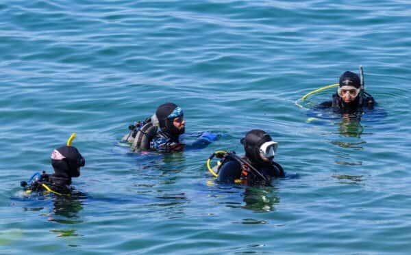SCUBA Host — photo 1